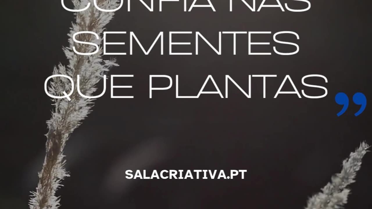 Cursos Online