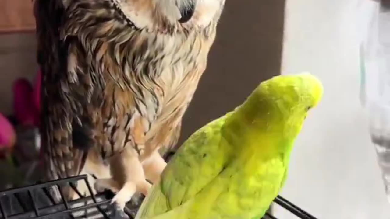 I feel like we are interrumpting something