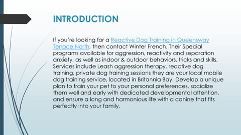 Best Reactive Dog Training in Queensway Terrace North