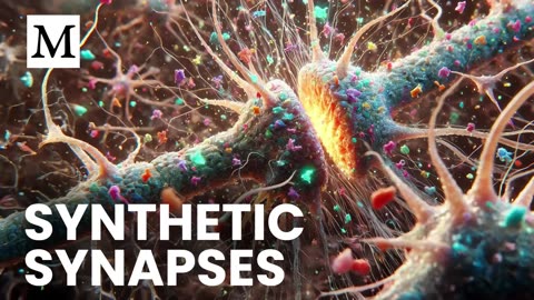 Stop Microplastics from Taking Over Your Brain - Mercola Cellular Wisdom