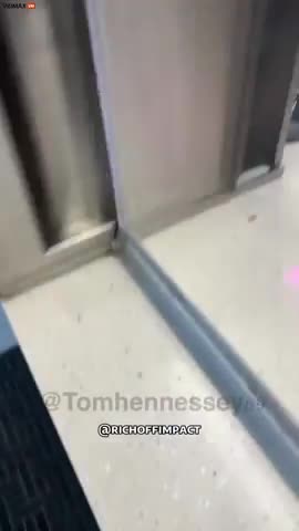 FEEDING THE NIGGERS AT THE ZOO