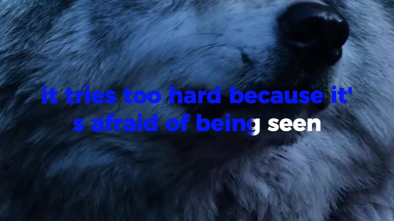This Quote Will Change How You Walk