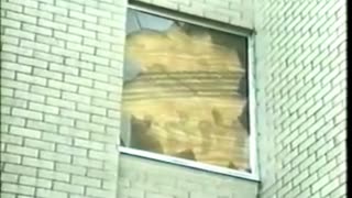 Watch Alex Jones Warn You About The New World Order Years Ago in These Films