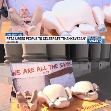 Turkey lives Matter