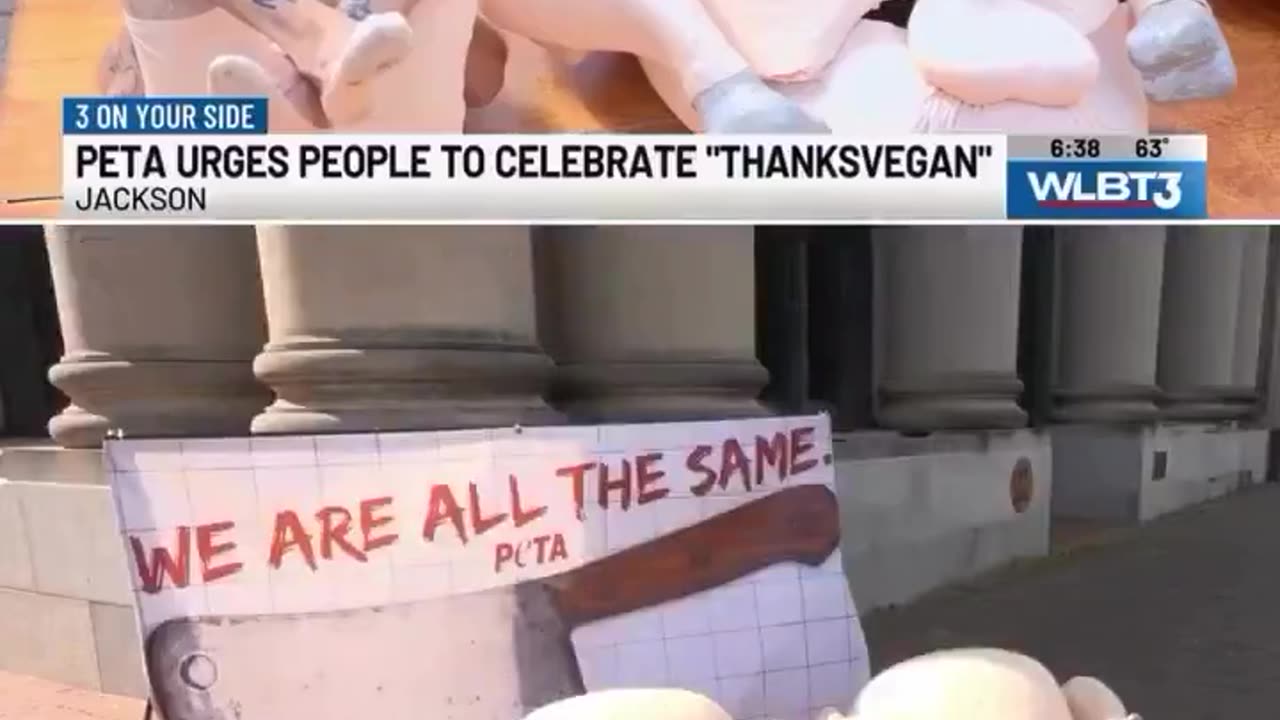 Turkey lives Matter