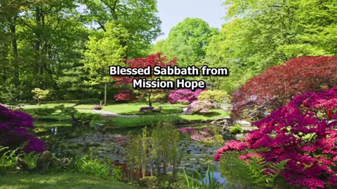 Divine Service: Muscal Sabbath with Shammy Solomon's Group