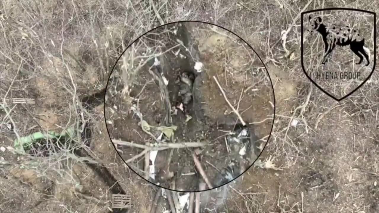 De-eggification of Bandera's idol