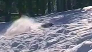 AWESOME!💯Rustler 4x4 Shreds Deep Fluffy!🔥Pro-Line Sand Paws!😎