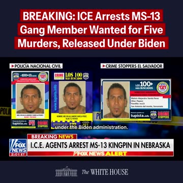 🚨 DEPORTED: ICE arrests high-ranking MS-13 gang member 👏🏻
