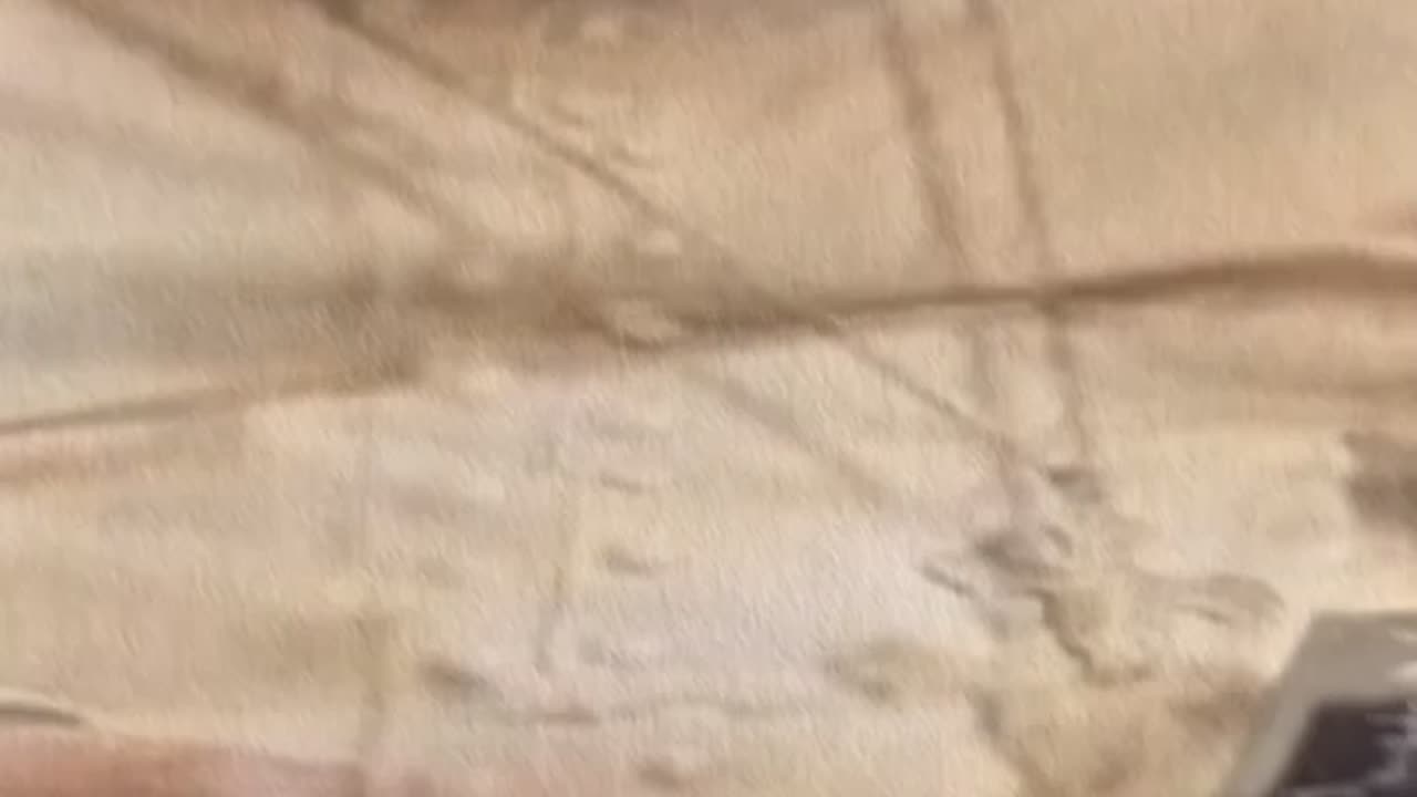 Tim Rifat TikTok Videos