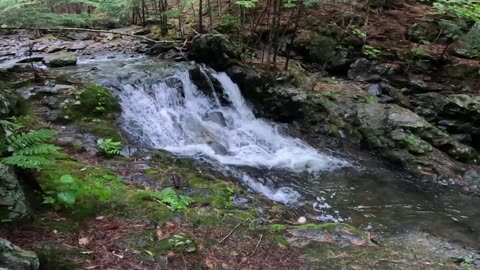 Cascade