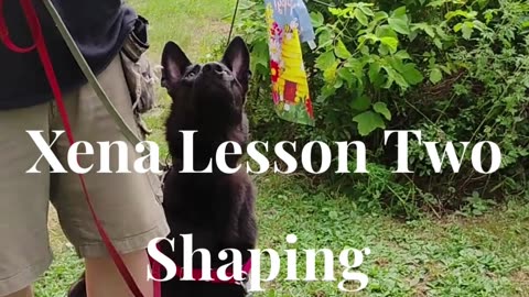 Xena shaping the at ease cue short 2