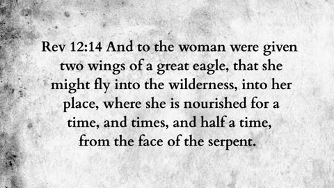 Martus Ministry -355- Black onyx