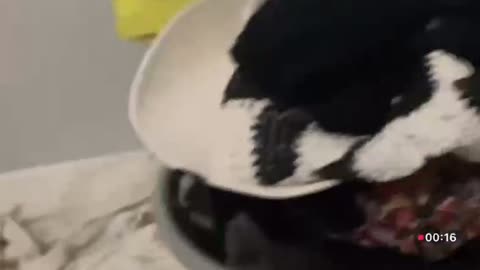 MOMMA ACE EXPOSES ACE ROOM FOR BEING NASTY !!!