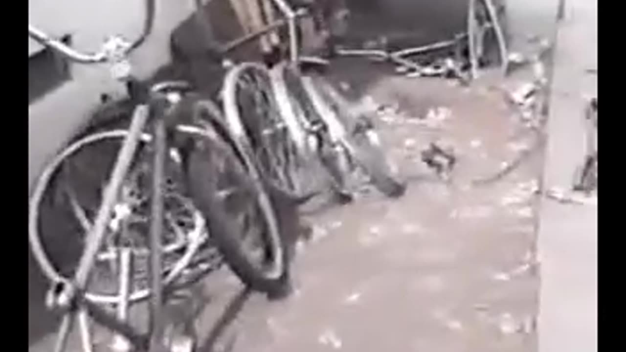 Nazi Low Riders