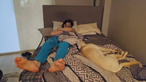 😴💤RUMBLE PREMIUM SLEEP STREAM 😴 💤 ~ ⏰ TRY TO WAKE US UP ⏰ ~ 💲$2 MEDIA WITH LIVEBEAM 💲