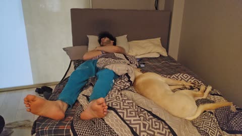 😴💤RUMBLE PREMIUM SLEEP STREAM 😴 💤 ~ ⏰ TRY TO WAKE US UP ⏰ ~ 💲$2 MEDIA WITH LIVEBEAM 💲