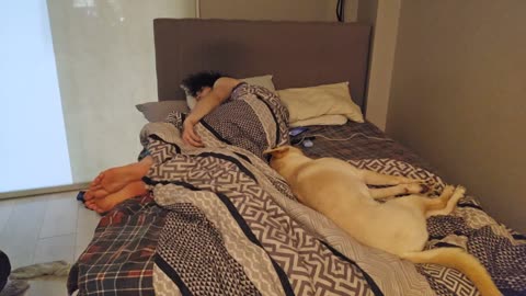 😴💤RUMBLE PREMIUM SLEEP STREAM 😴 💤 ~ ⏰ TRY TO WAKE US UP ⏰ ~ 💲$2 MEDIA WITH LIVEBEAM 💲