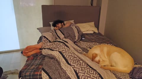 😴💤RUMBLE PREMIUM SLEEP STREAM 😴 💤 ~ ⏰ TRY TO WAKE US UP ⏰ ~ 💲$2 MEDIA WITH LIVEBEAM 💲