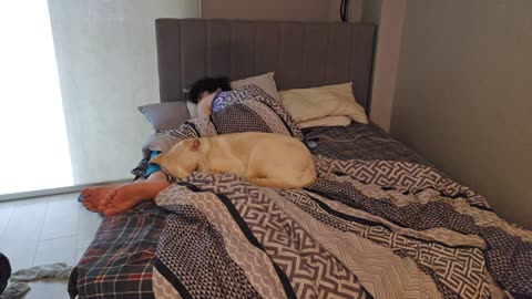 😴💤RUMBLE PREMIUM SLEEP STREAM 😴 💤 ~ ⏰ TRY TO WAKE US UP ⏰ ~ 💲$2 MEDIA WITH LIVEBEAM 💲