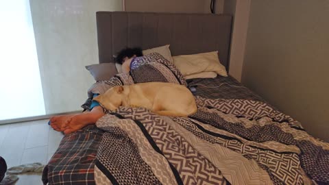 😴💤RUMBLE PREMIUM SLEEP STREAM 😴 💤 ~ ⏰ TRY TO WAKE US UP ⏰ ~ 💲$2 MEDIA WITH LIVEBEAM 💲