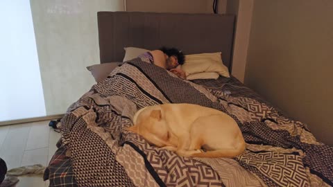 😴💤RUMBLE PREMIUM SLEEP STREAM 😴 💤 ~ ⏰ TRY TO WAKE US UP ⏰ ~ 💲$2 MEDIA WITH LIVEBEAM 💲