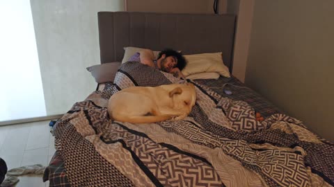 😴💤RUMBLE PREMIUM SLEEP STREAM 😴 💤 ~ ⏰ TRY TO WAKE US UP ⏰ ~ 💲$2 MEDIA WITH LIVEBEAM 💲