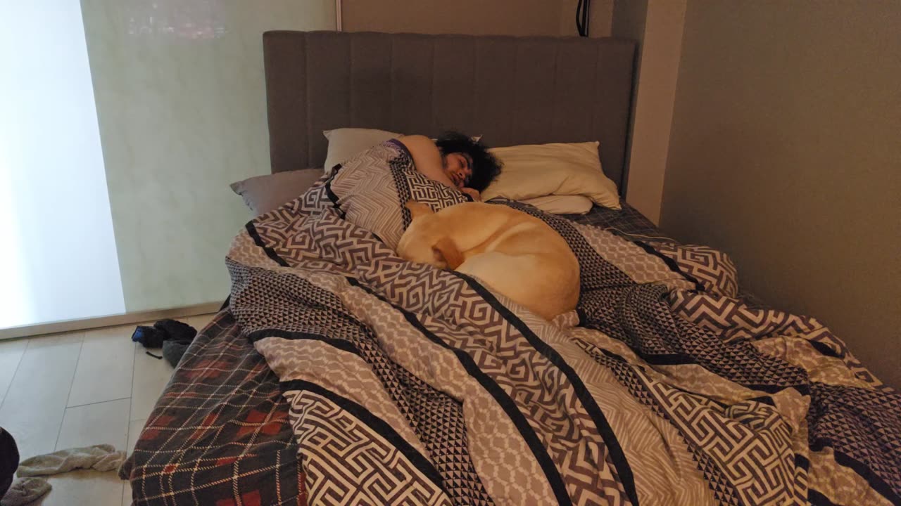 😴💤RUMBLE PREMIUM SLEEP STREAM 😴 💤 ~ ⏰ TRY TO WAKE US UP ⏰ ~ 💲$2 MEDIA WITH LIVEBEAM 💲