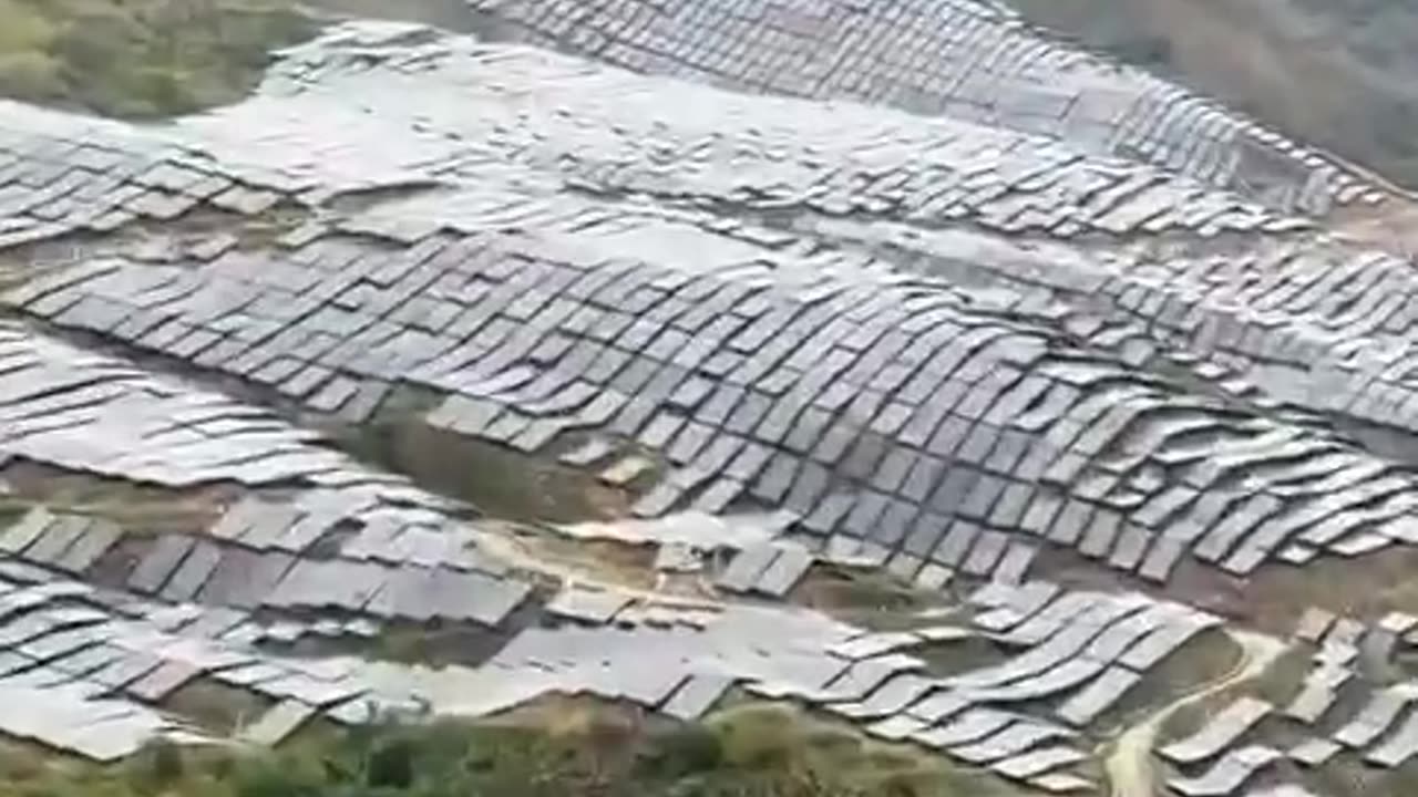 overal zonnepanelen - ' de aarde is gered'?