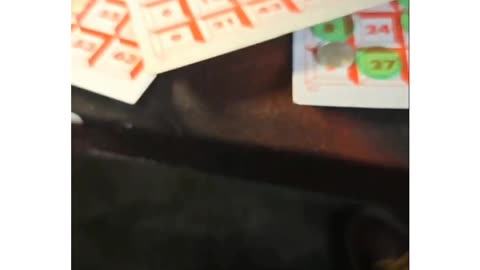 PLAYING Bingo on whatnot.com