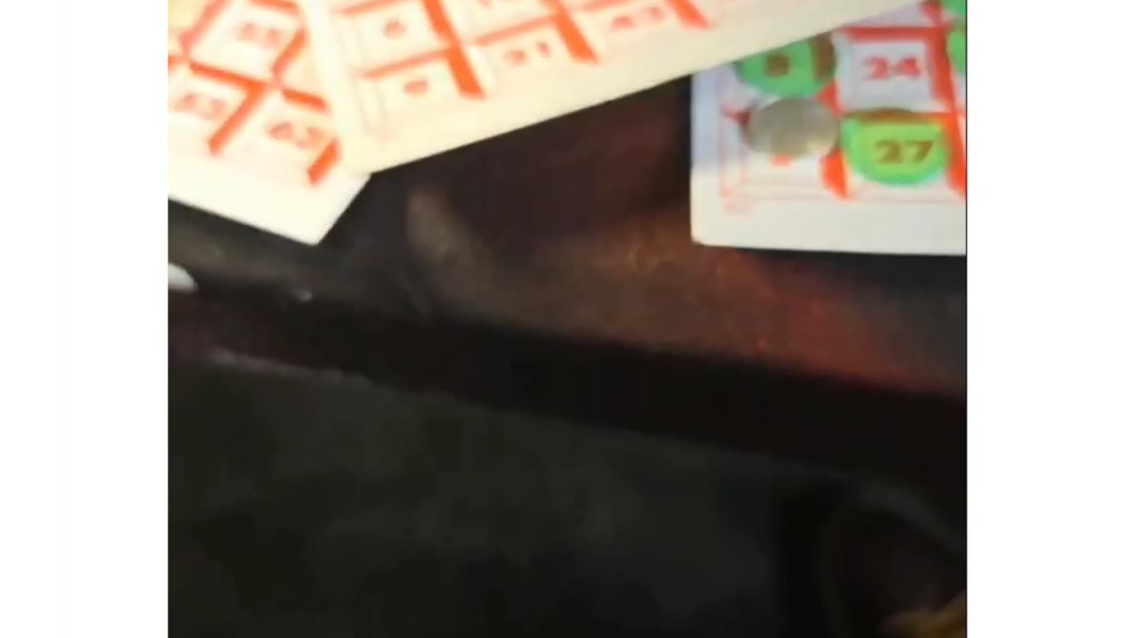 PLAYING Bingo on whatnot.com