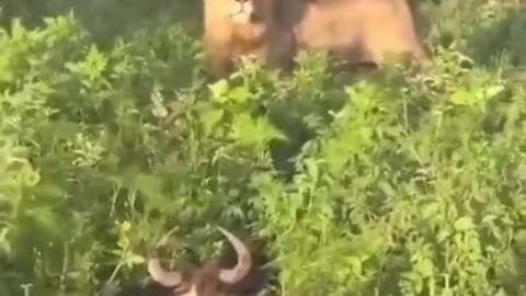 High Stakes Hide And Seek