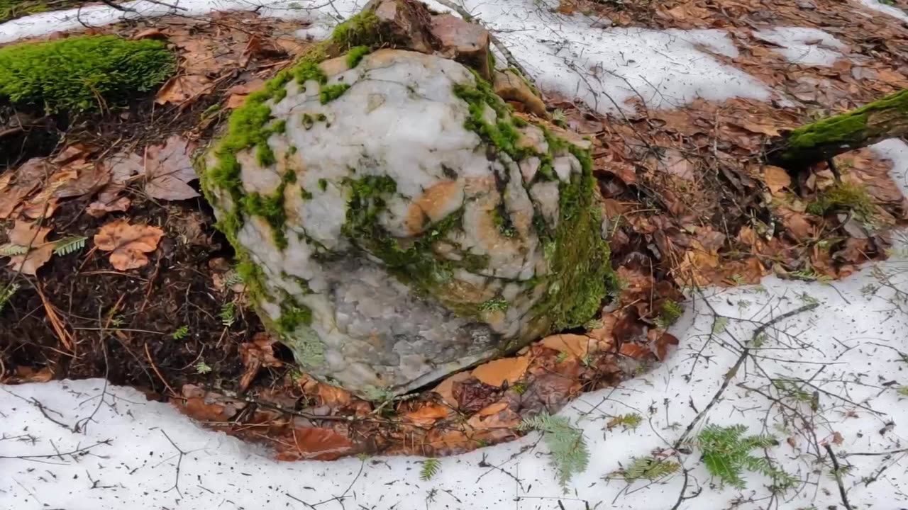 Quartz Rock