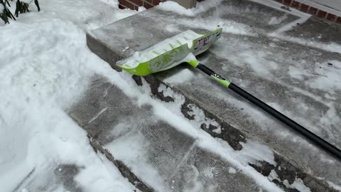 January 25, 2026 - Have a Holly Jolly What?