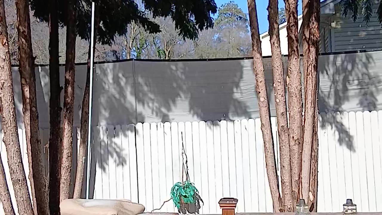 After The Ice Storm 2026