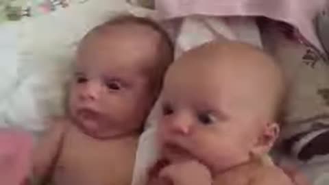 Hilarious Baby Reactions Compilation