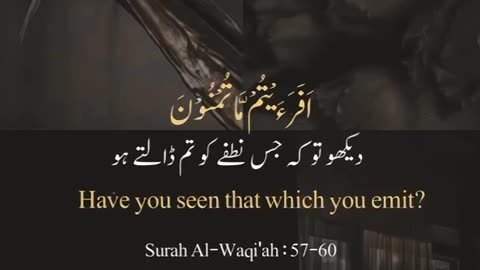 Surat Waqiah ( Verse: 57-60) #allah #muhammadﷺ #quran #islam