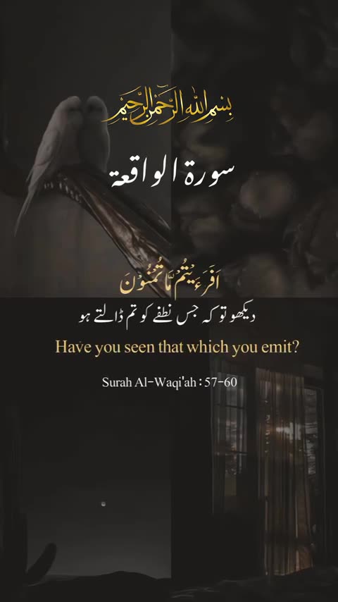 Surat Waqiah ( Verse: 57-60) #allah #muhammadﷺ #quran #islam