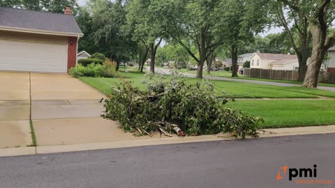 Real Estate, Associations (HOA) and Trees