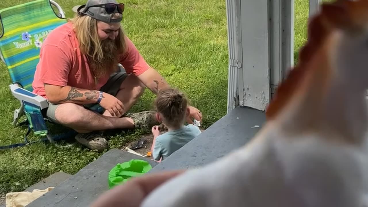 Horse Toy Has Male Anatomy