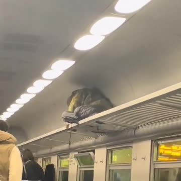 Italy has become a jungle without rules.