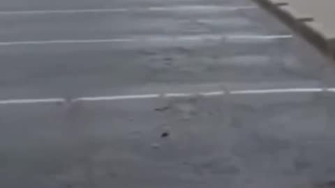 Multiple Vehicles Stalled on Flooded Roads in Wichita