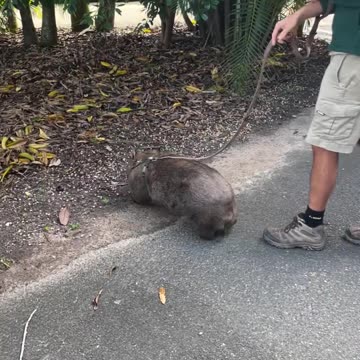 Welcome to Australia 🇦🇺