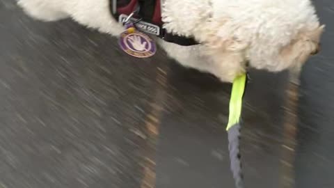 Crossing road, opening door manually, enter building