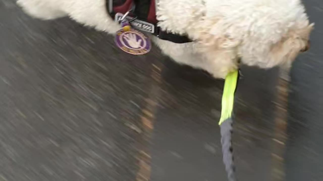 Crossing road, opening door manually, enter building