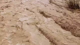 LIVE NOW: CBN News - Because Truth Mattersâ„¢