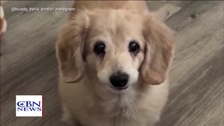 LIVE NOW: CBN News - Because Truth Mattersâ„¢