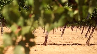 LIVE NOW: CBN News - Because Truth Matters™