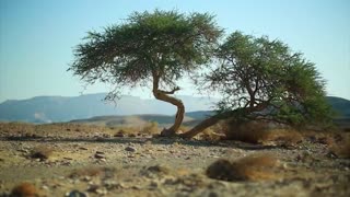 LIVE NOW: CBN News - Because Truth Matters™