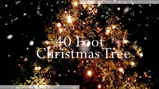 LIVE NOW: CBN News - Because Truth Matters™